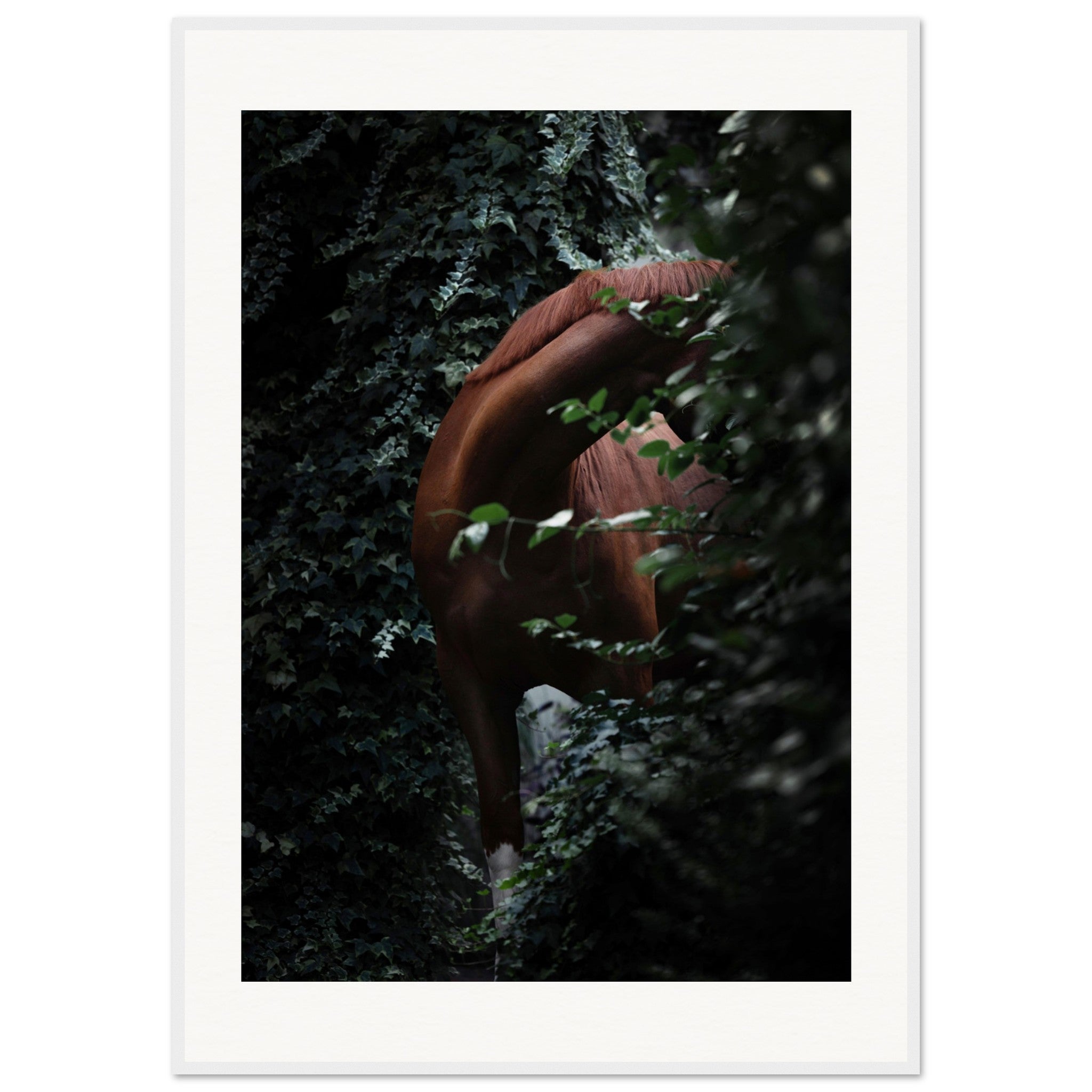 63f626fa-c59b-45f3-bc57-bcf8fbc41173