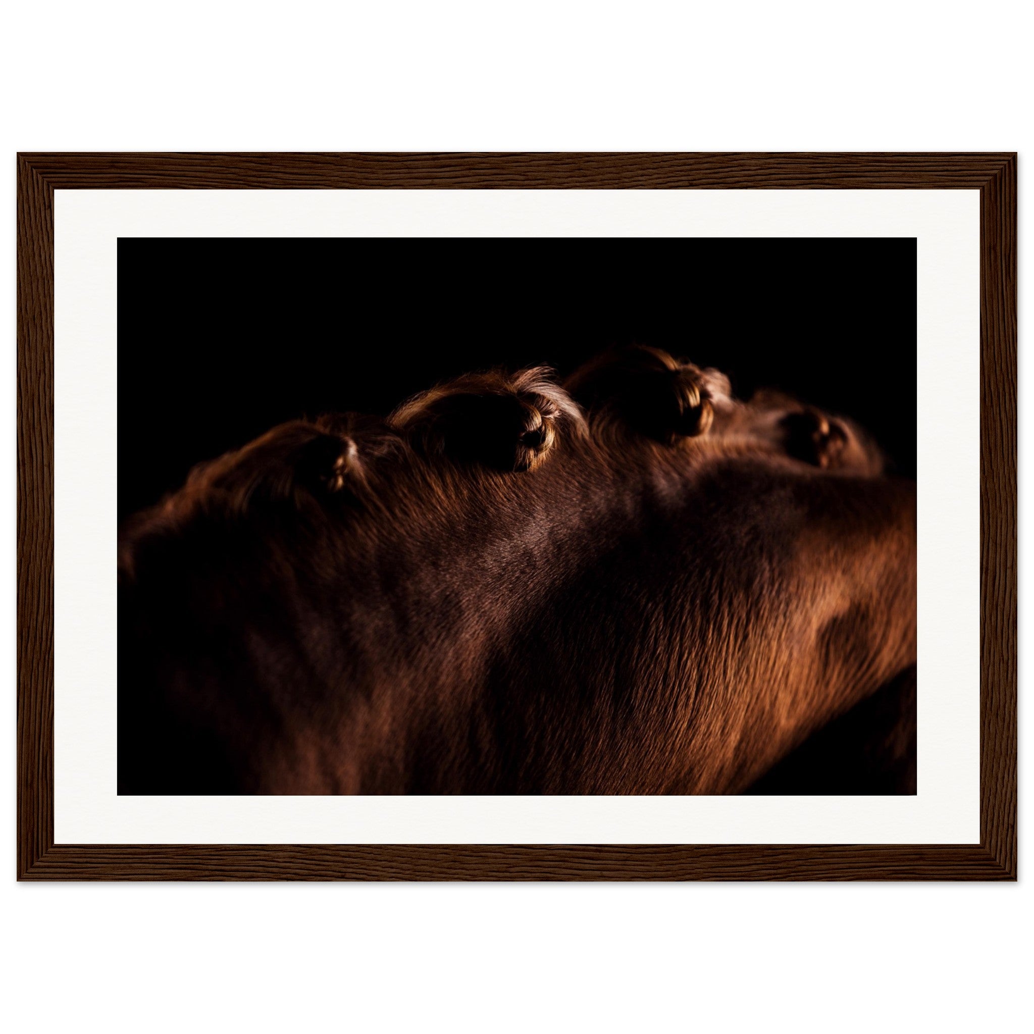 640534e0-012b-4310-a79f-d6b28992720f