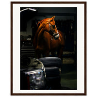 6443805d-3300-4369-9223-521044eb346e