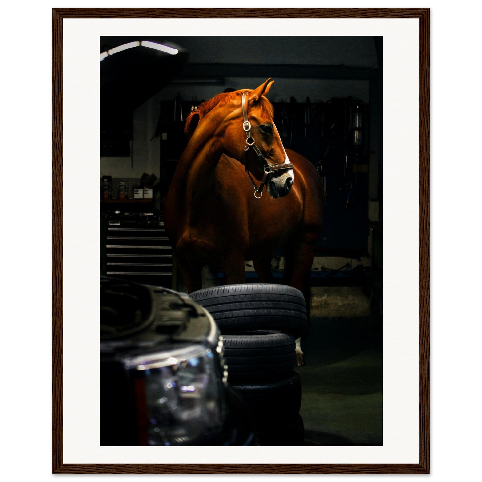 6443805d-3300-4369-9223-521044eb346e