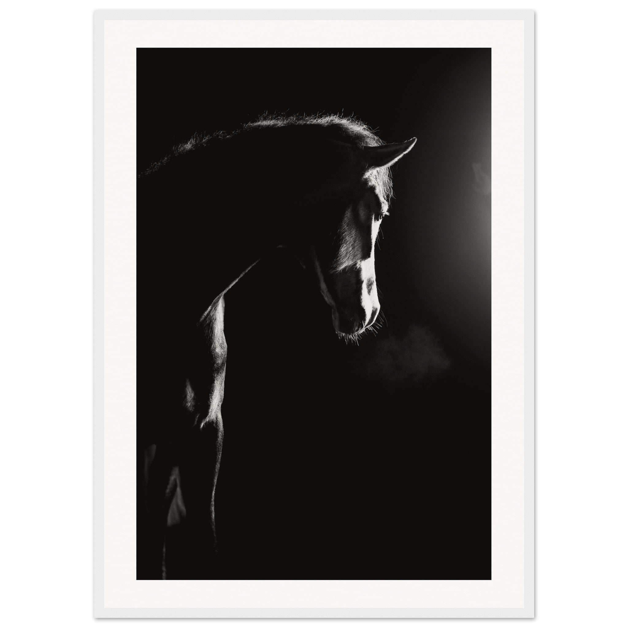 645708cd-db35-44f5-909c-f711ee4ce1c9