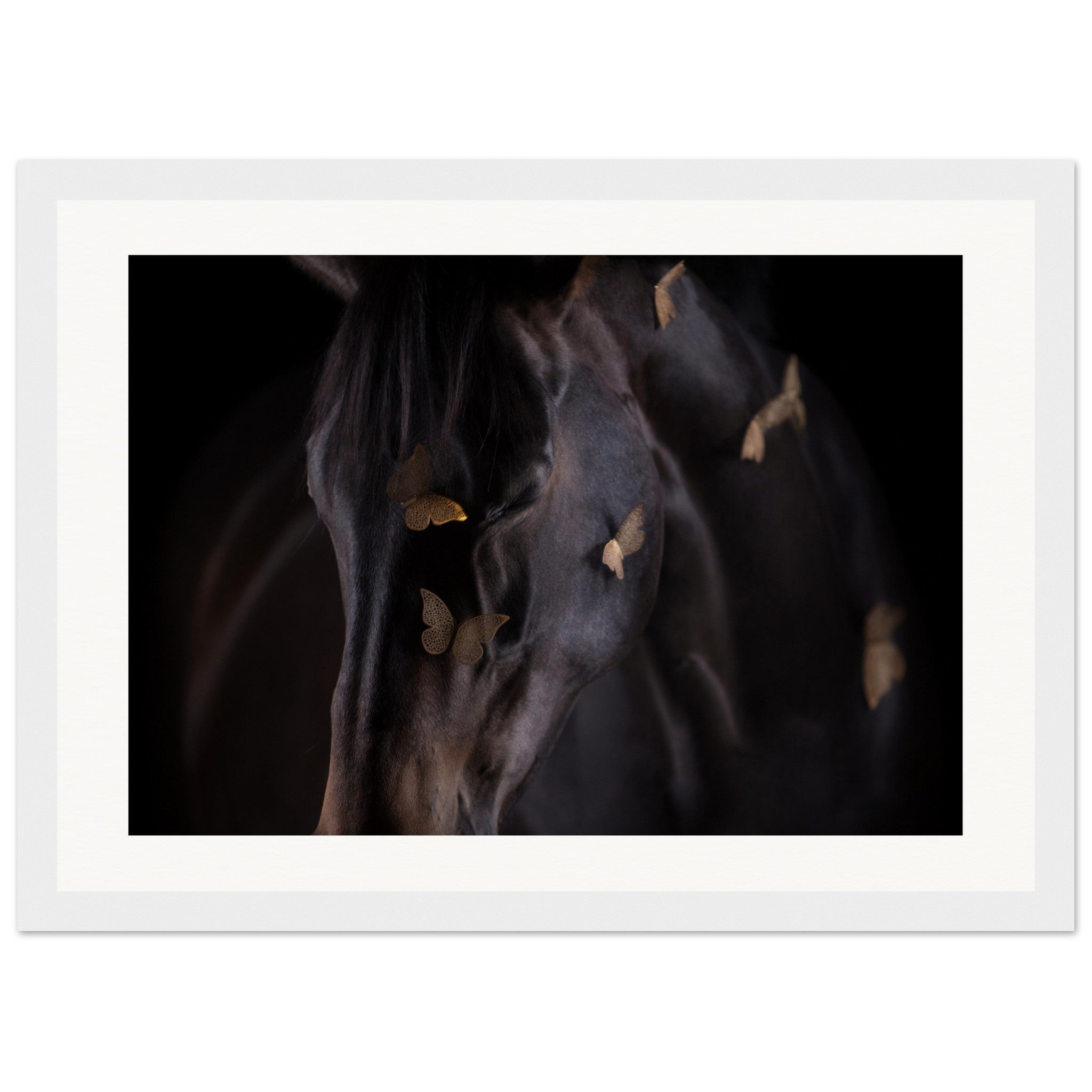 6458b204-269a-43c5-972c-03ac88d76b2c