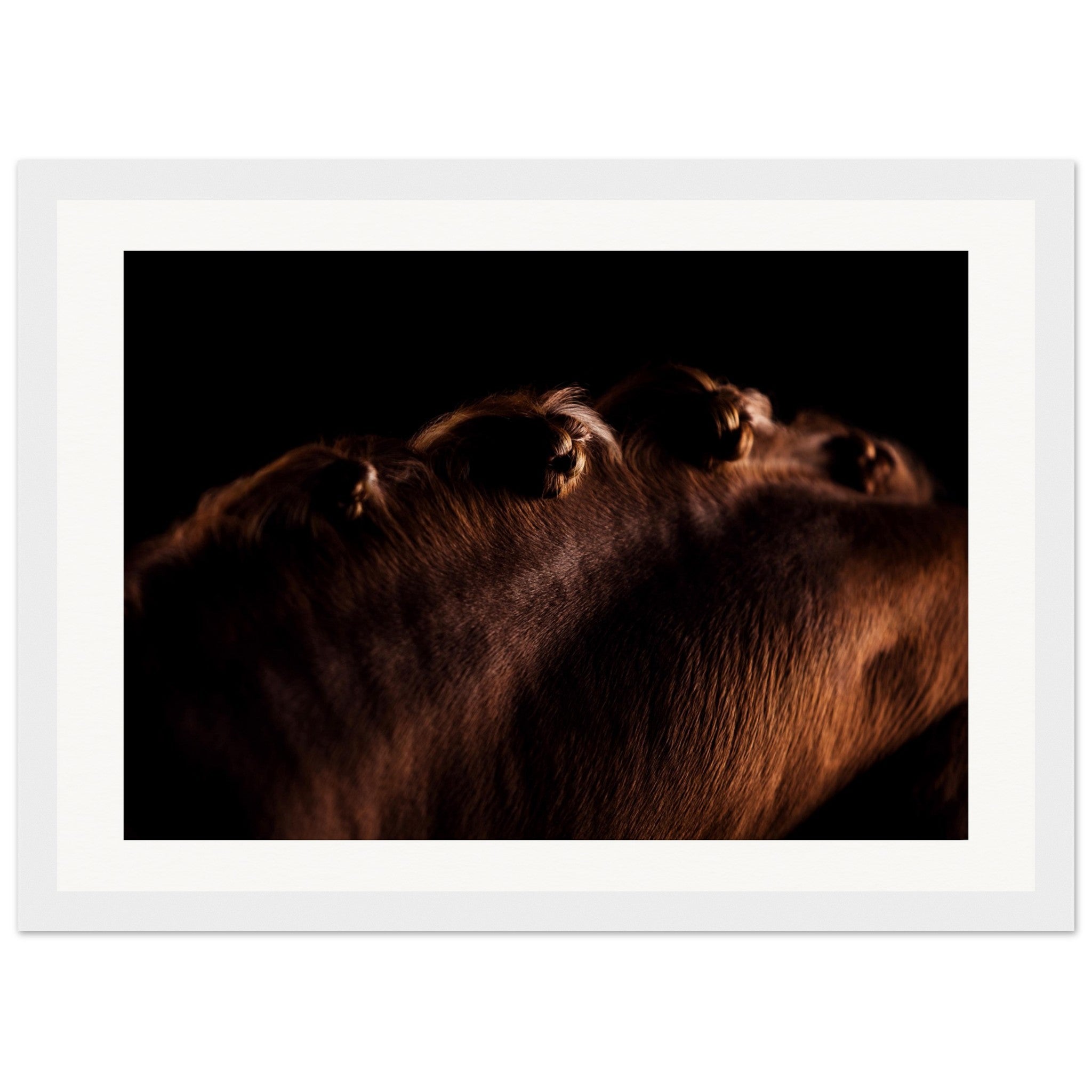 646c8025-134d-4bc9-9f7e-e54575c369e2