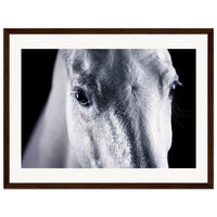 64e2c7e0-6906-4a14-a0c1-a3d35ab0095e