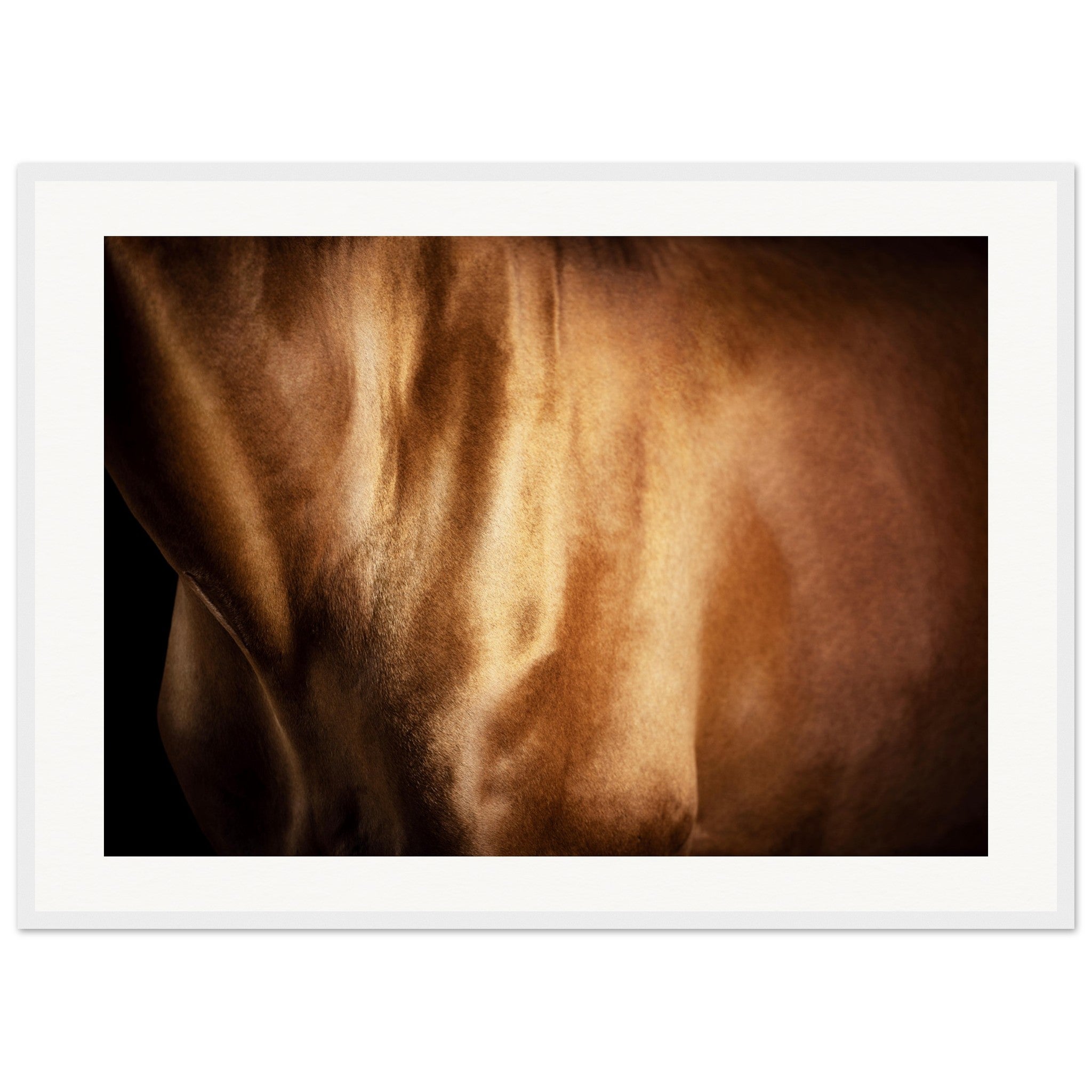 64feba93-1332-4642-a393-f0cd37b365d8