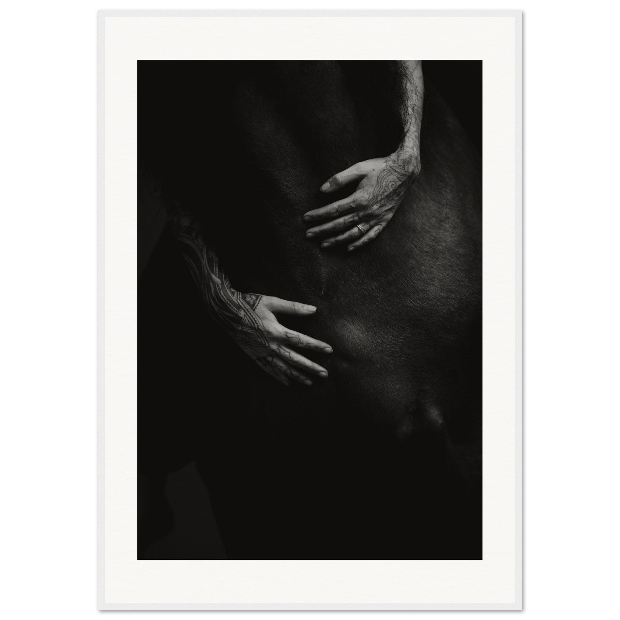 64ff497b-f223-433d-b429-a4d8b7d20b3b