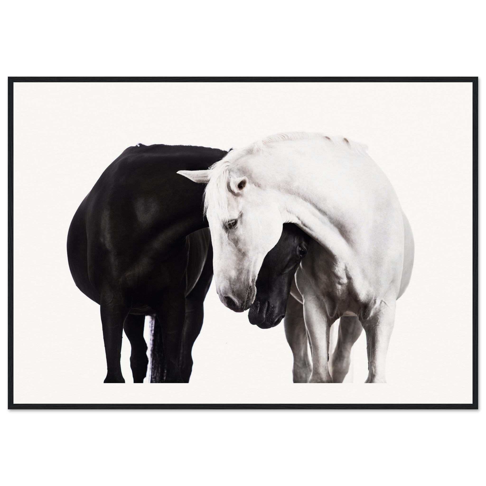 6533c653-4362-41aa-a22e-4a180d03cbe1