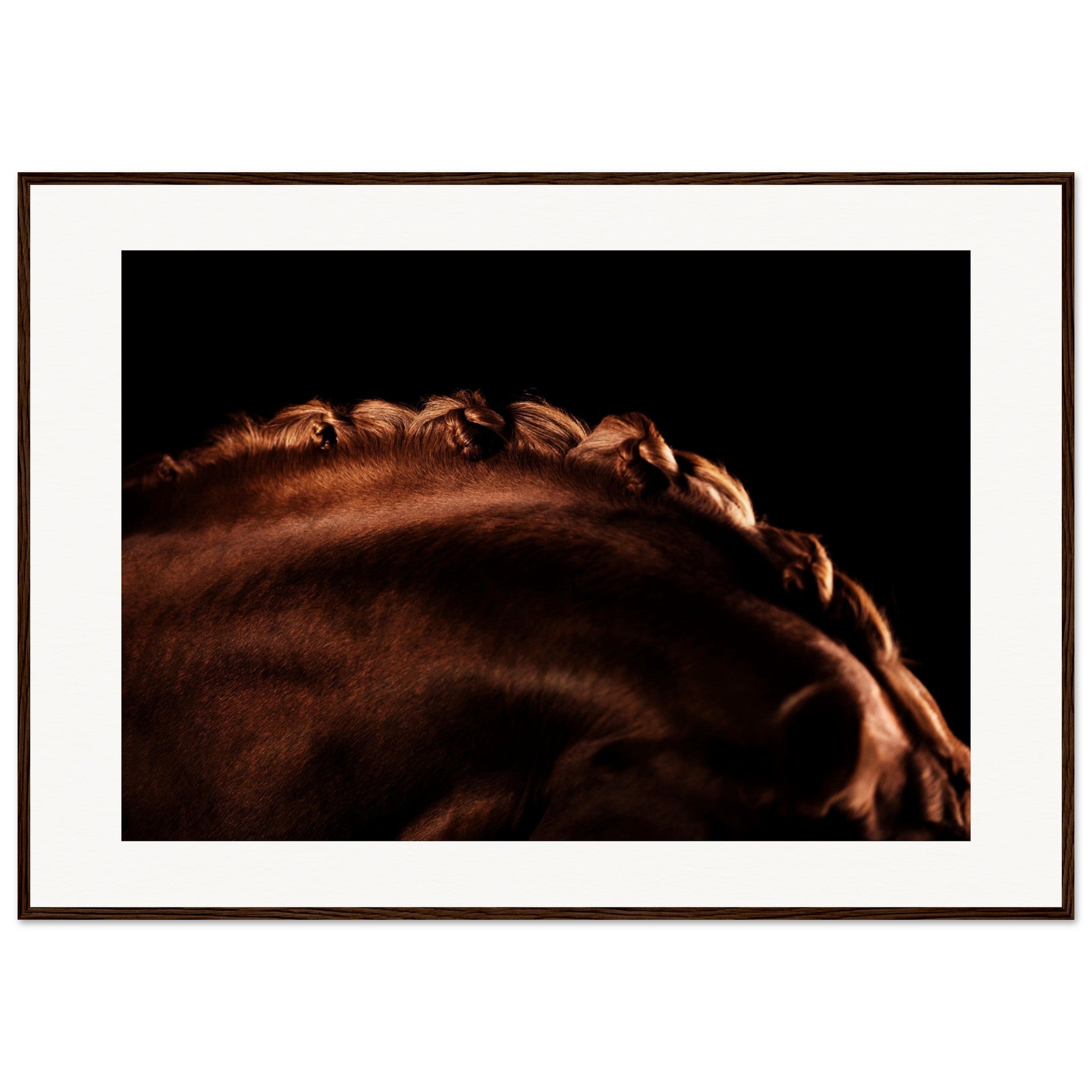 6551be7c-67d4-412b-8a6b-efadb30e2735