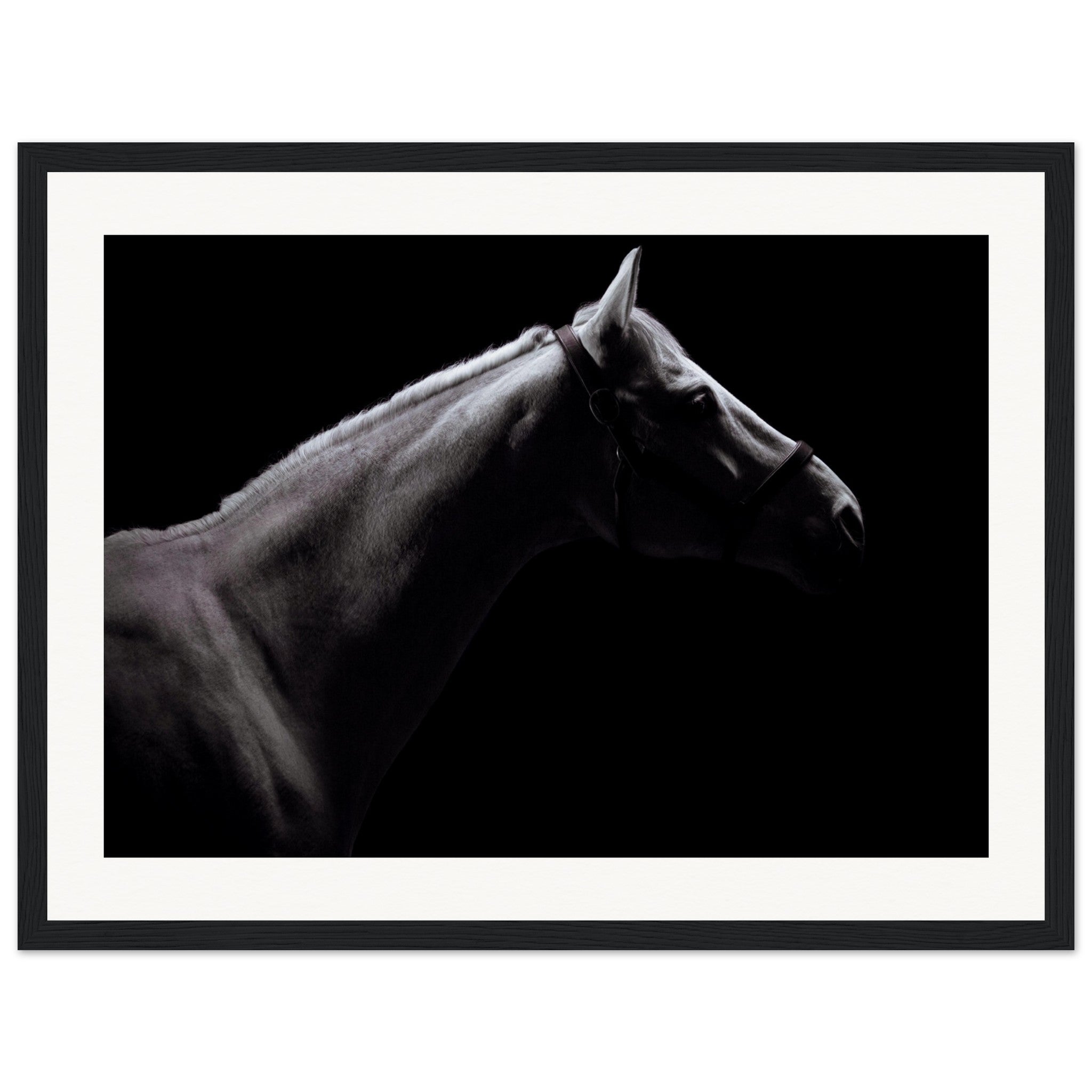 658030d0-8727-43a5-85f1-958cc6052121