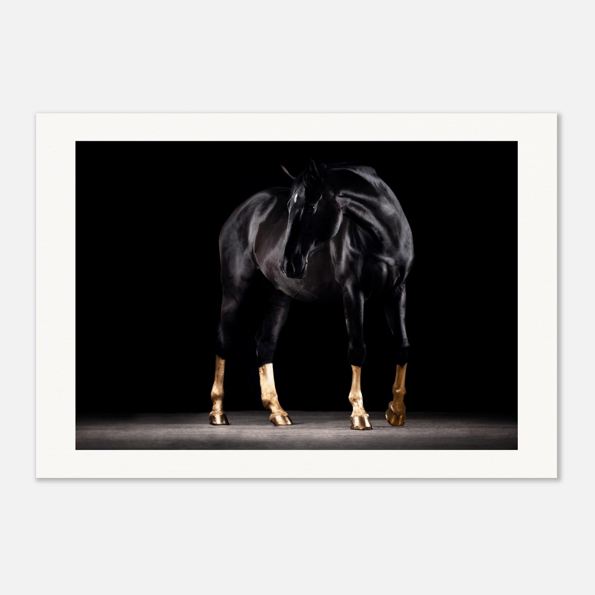 65a98aa3-b5be-48ea-b030-8d59efe584ea