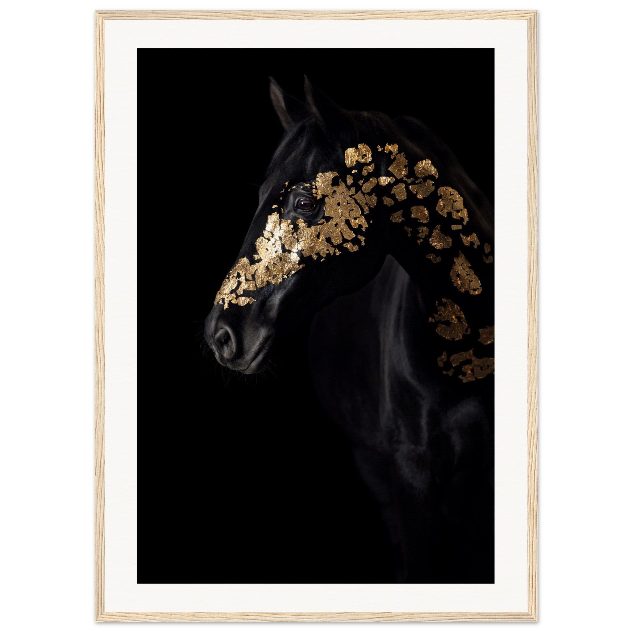 65b18491-ada3-4b7d-b191-5137fb7374e3