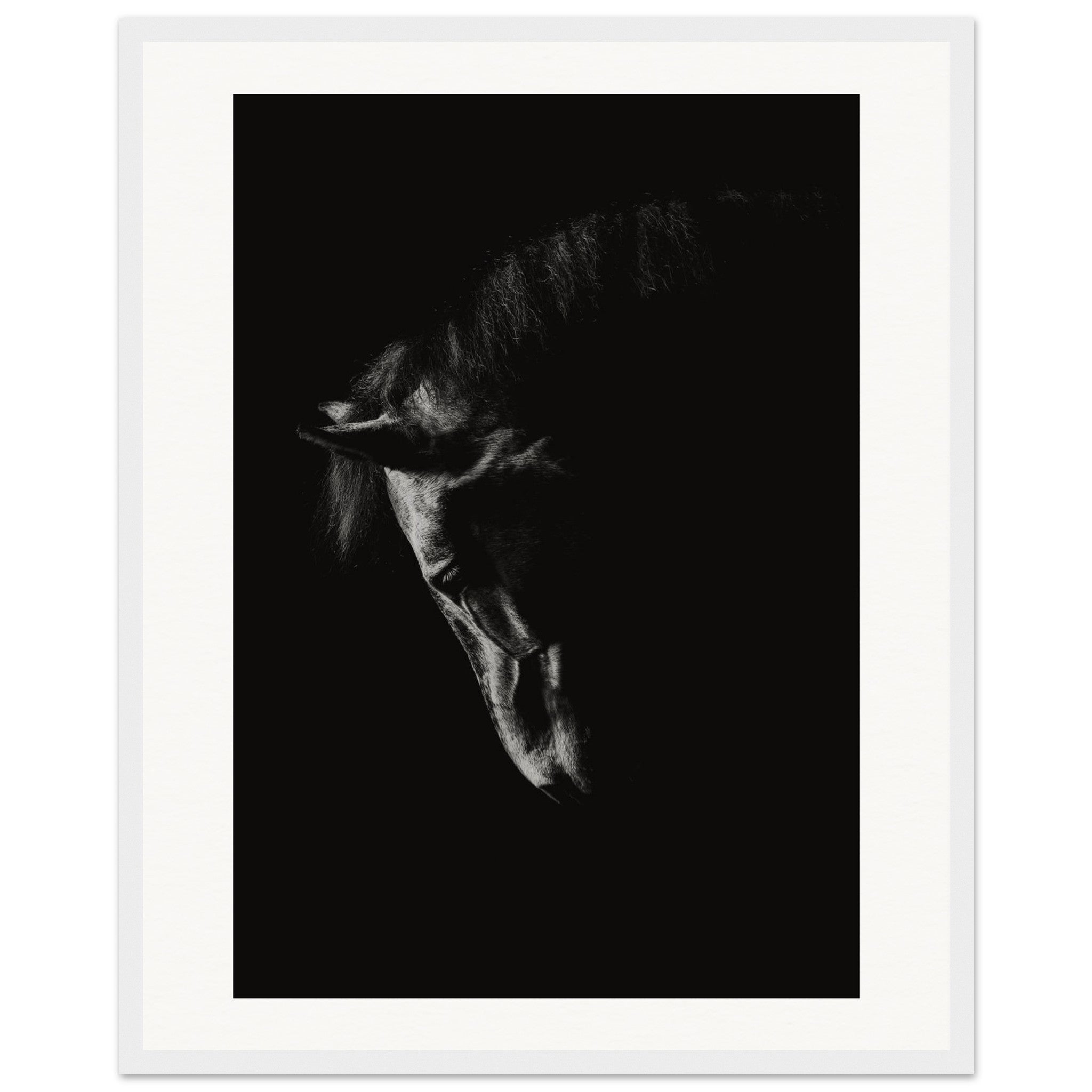 65b2a55d-1f8f-40fa-a749-25bd6cda8f27