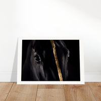 65d05f55-9795-4fee-a030-3497b50f4135