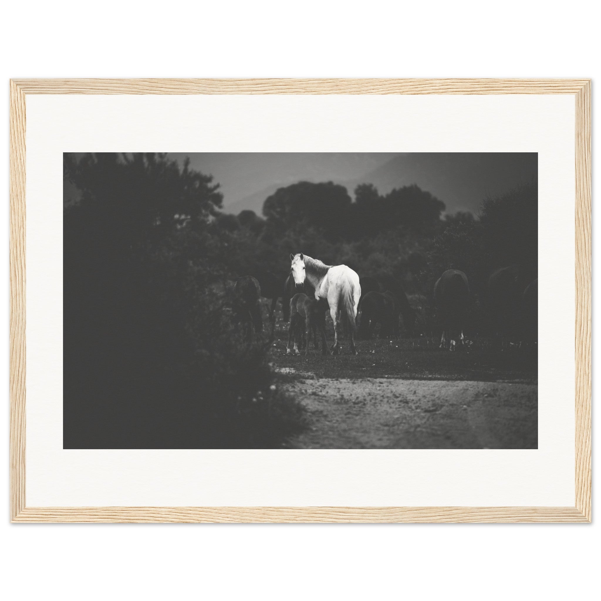 662b980d-13be-4c69-b545-896d3ebce9a9