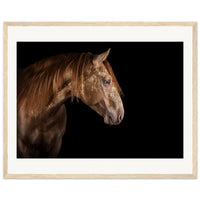 6696d44b-16a6-4d92-b11e-f62ead13a6ba