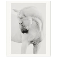 66ab371b-4072-427d-9877-d85e3a56a7b0