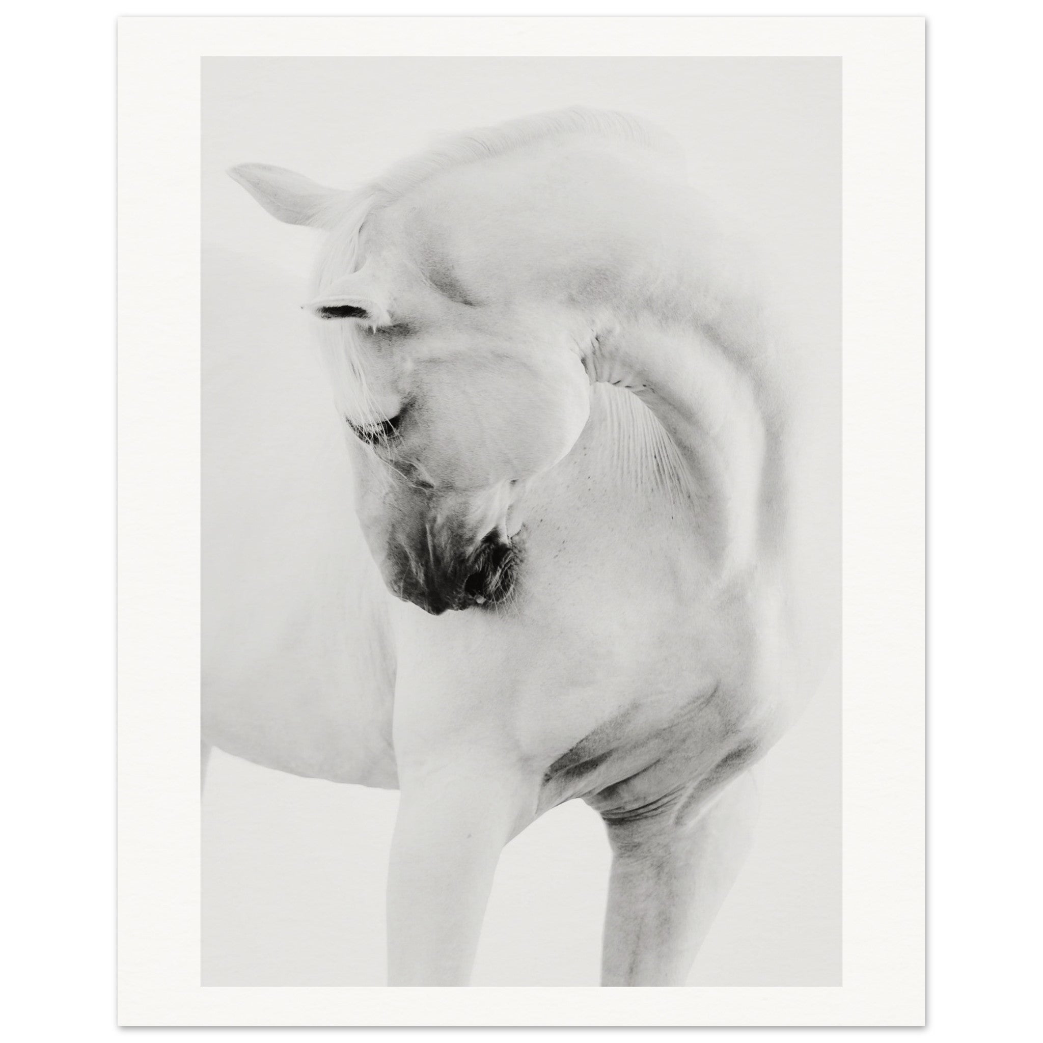 66ab371b-4072-427d-9877-d85e3a56a7b0