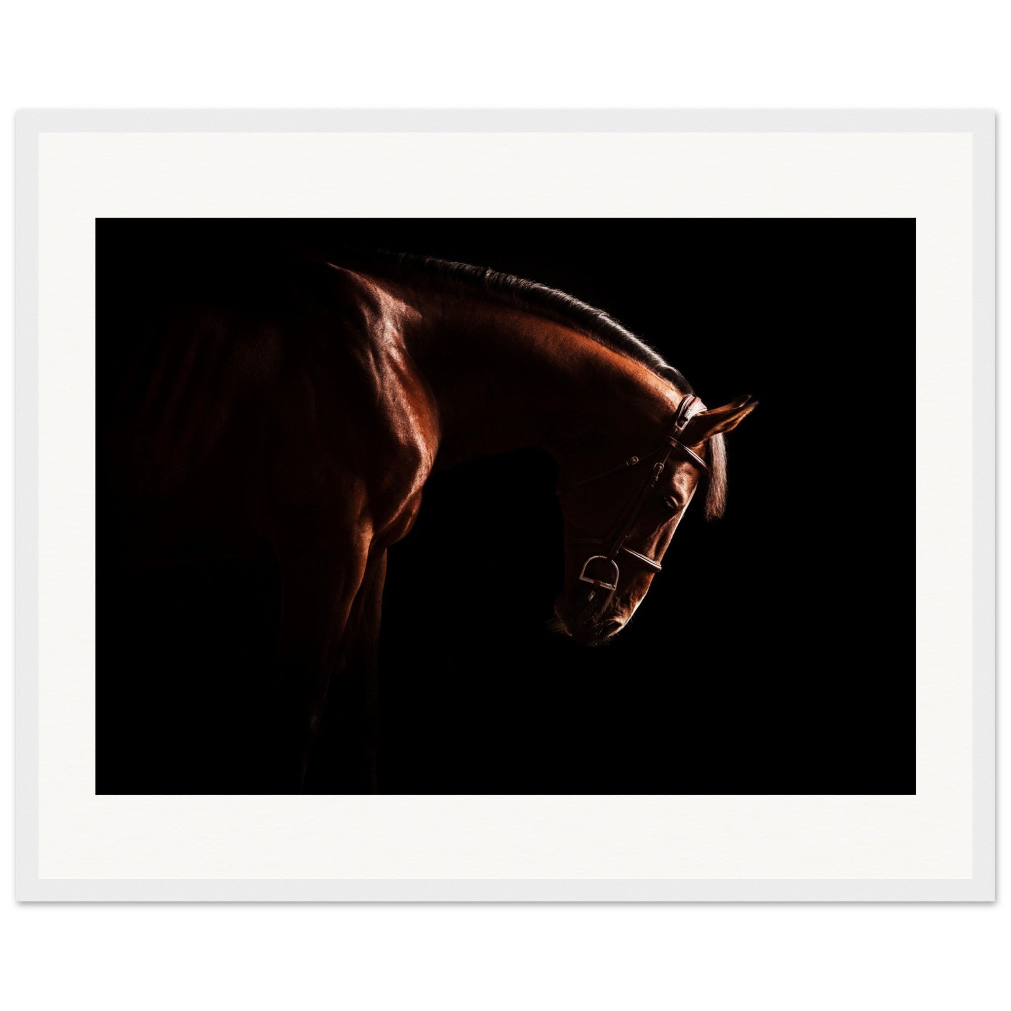 66af90d6-4696-42a8-836b-d16f164890c5