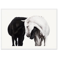 66e79e9f-4609-4306-b7ff-da8b5f7d262a