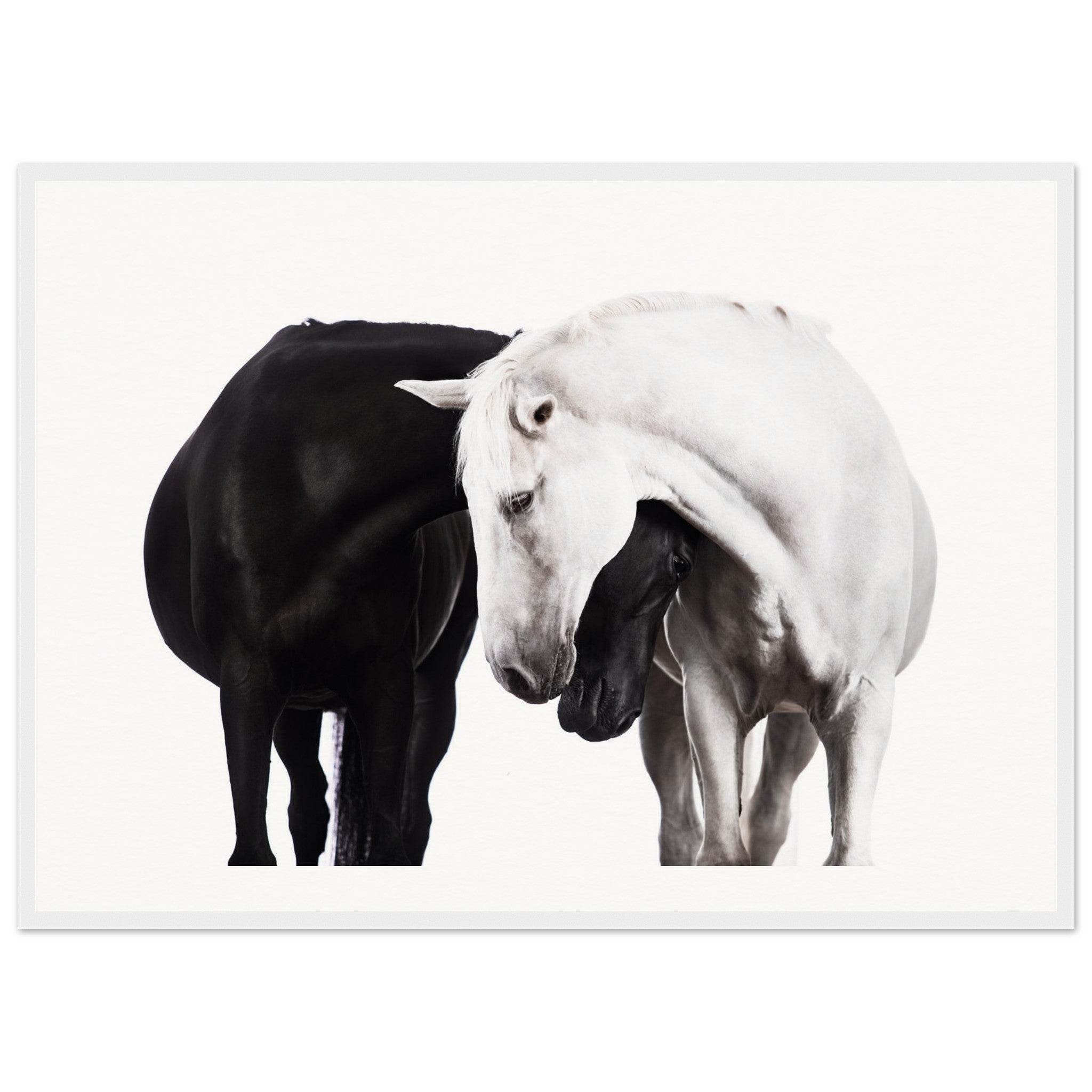 66e79e9f-4609-4306-b7ff-da8b5f7d262a