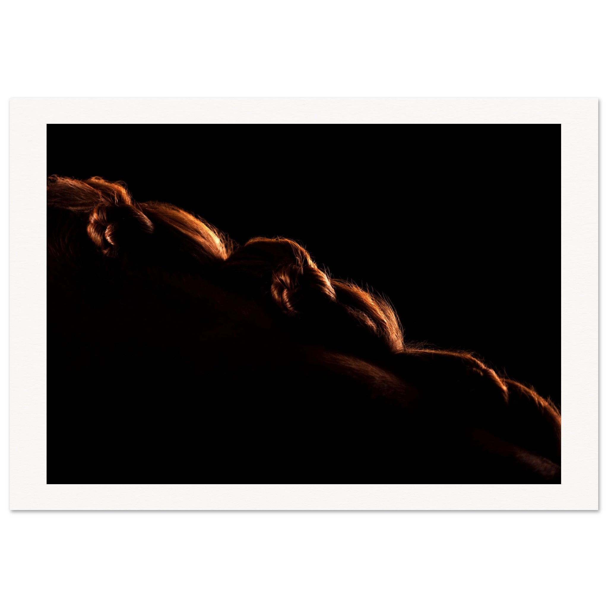 67051038-0a49-4f23-8386-1483d1d4e25c