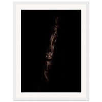 6722004b-517f-4eb0-a82f-bf5beefc2ab3