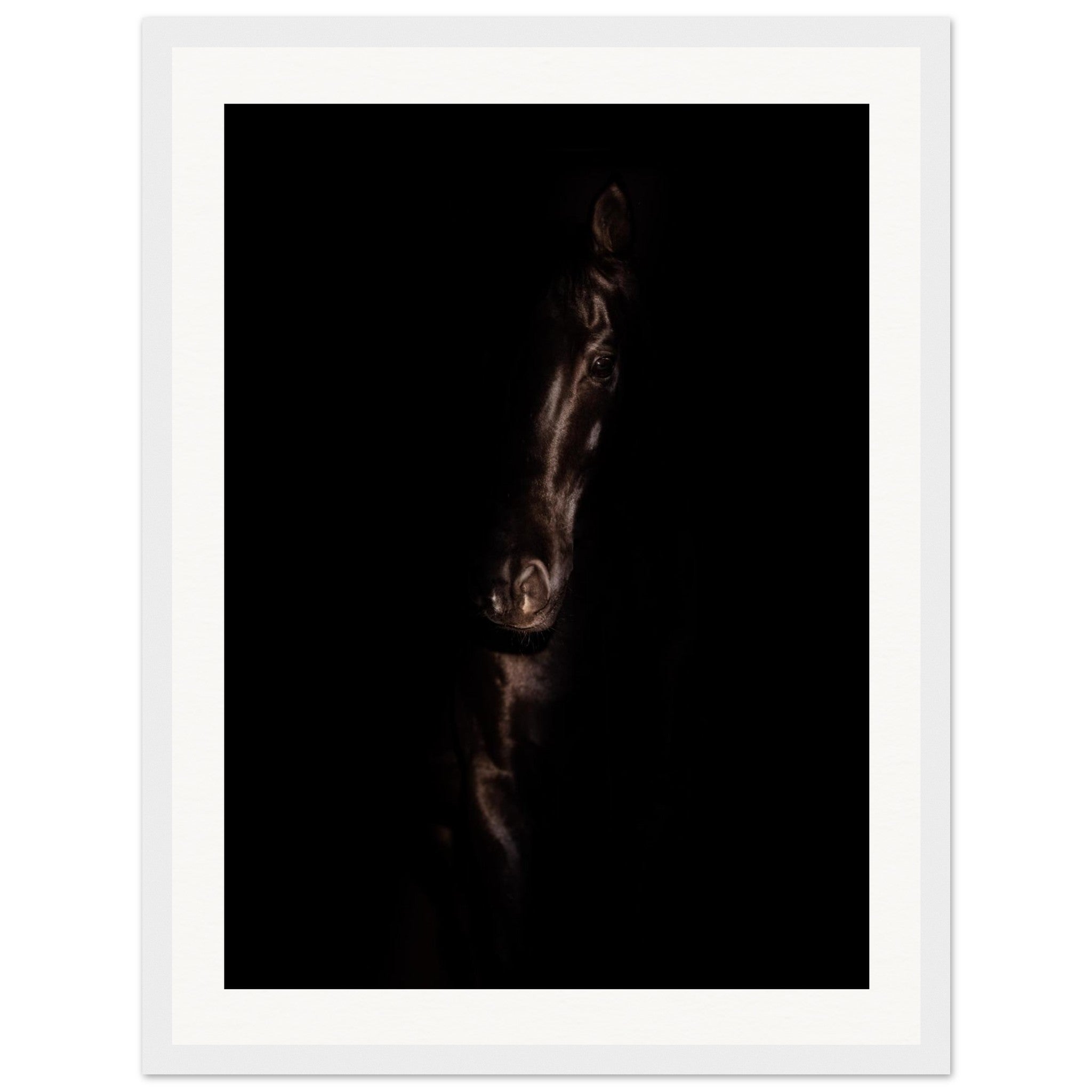 6722004b-517f-4eb0-a82f-bf5beefc2ab3