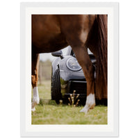 6778659c-fc61-40a9-bf53-b50fd76b09b1