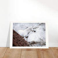 68575f33-b134-4a1f-bba9-05f2491c841e