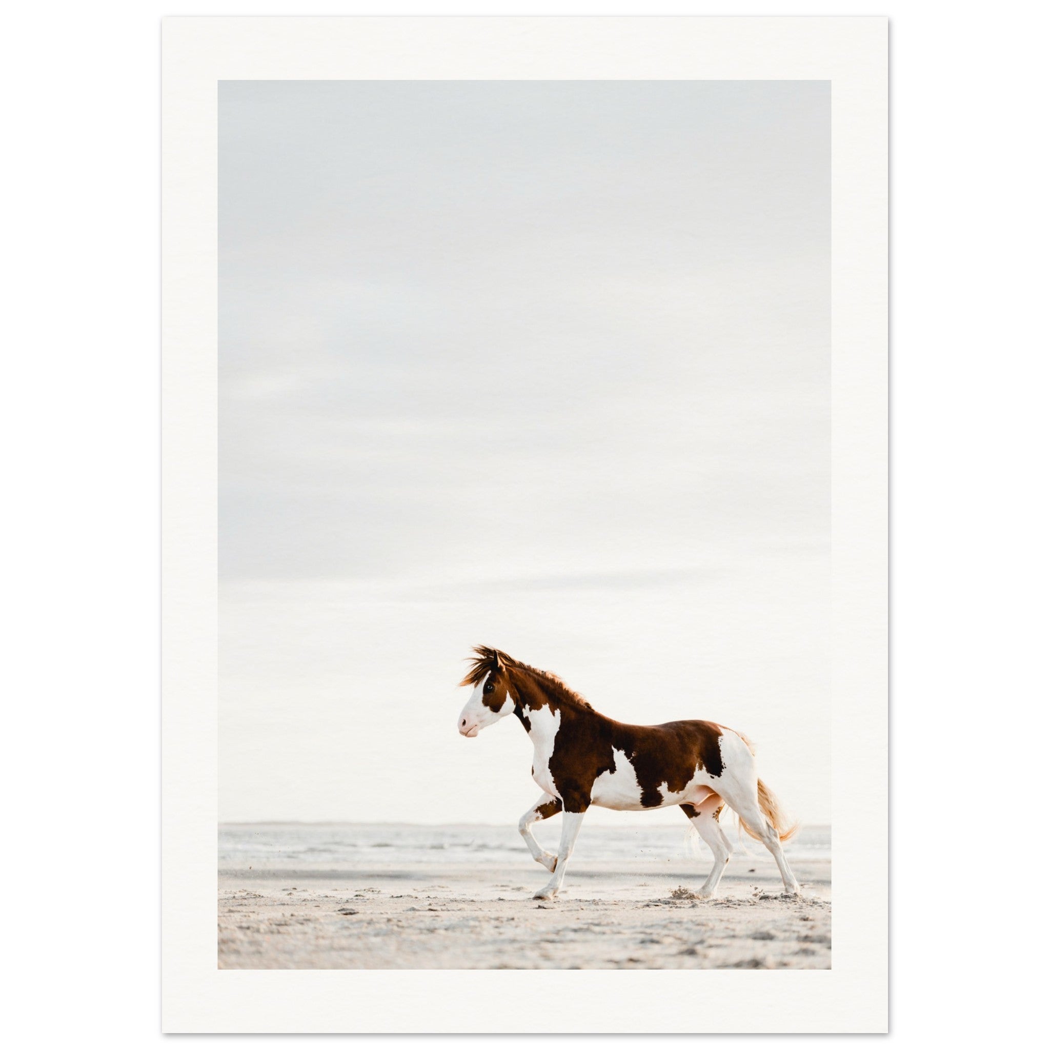 687d4d3b-4d28-4d31-97fa-ad8896ed8728