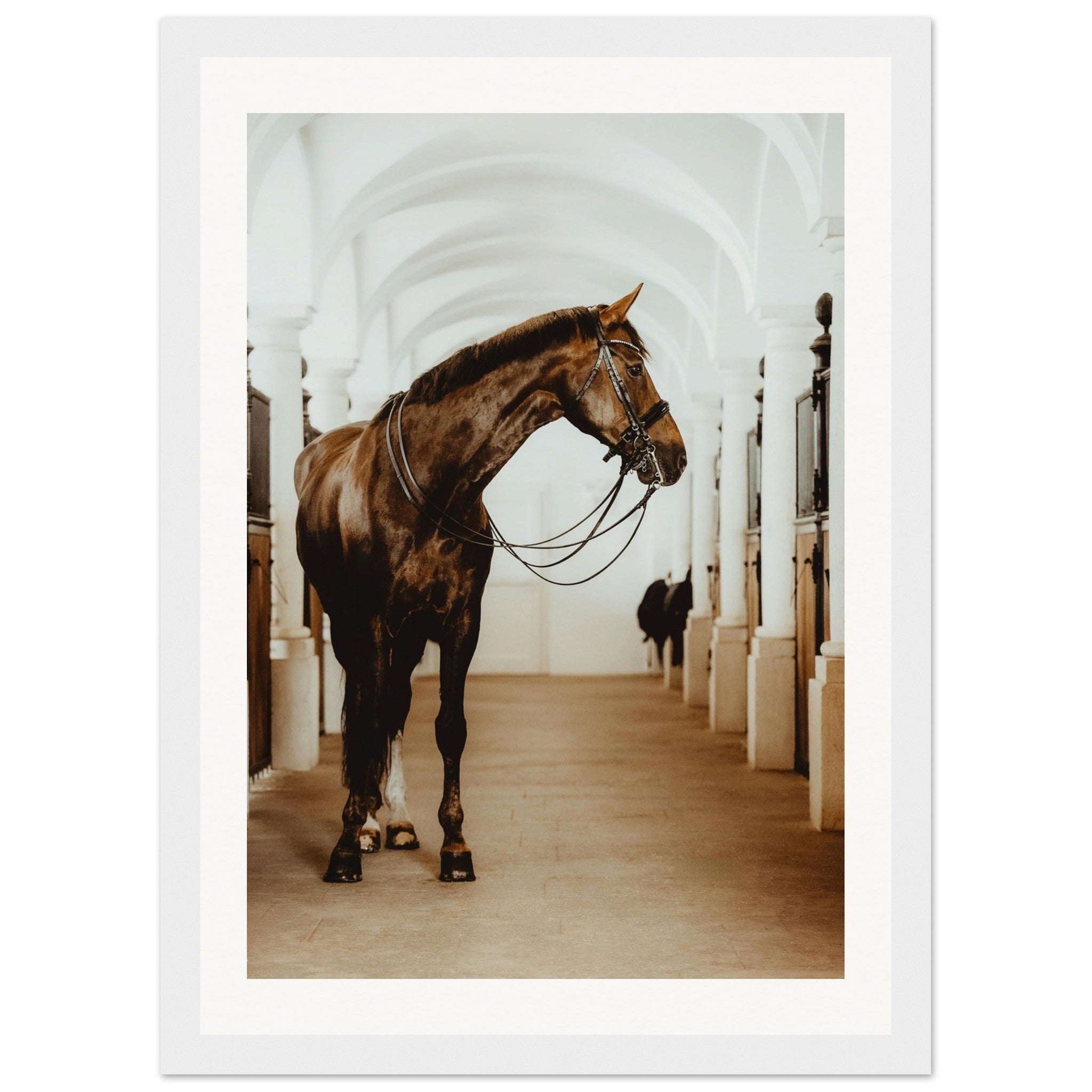 6883c40f-ff03-4a8c-b677-73851cb1be98