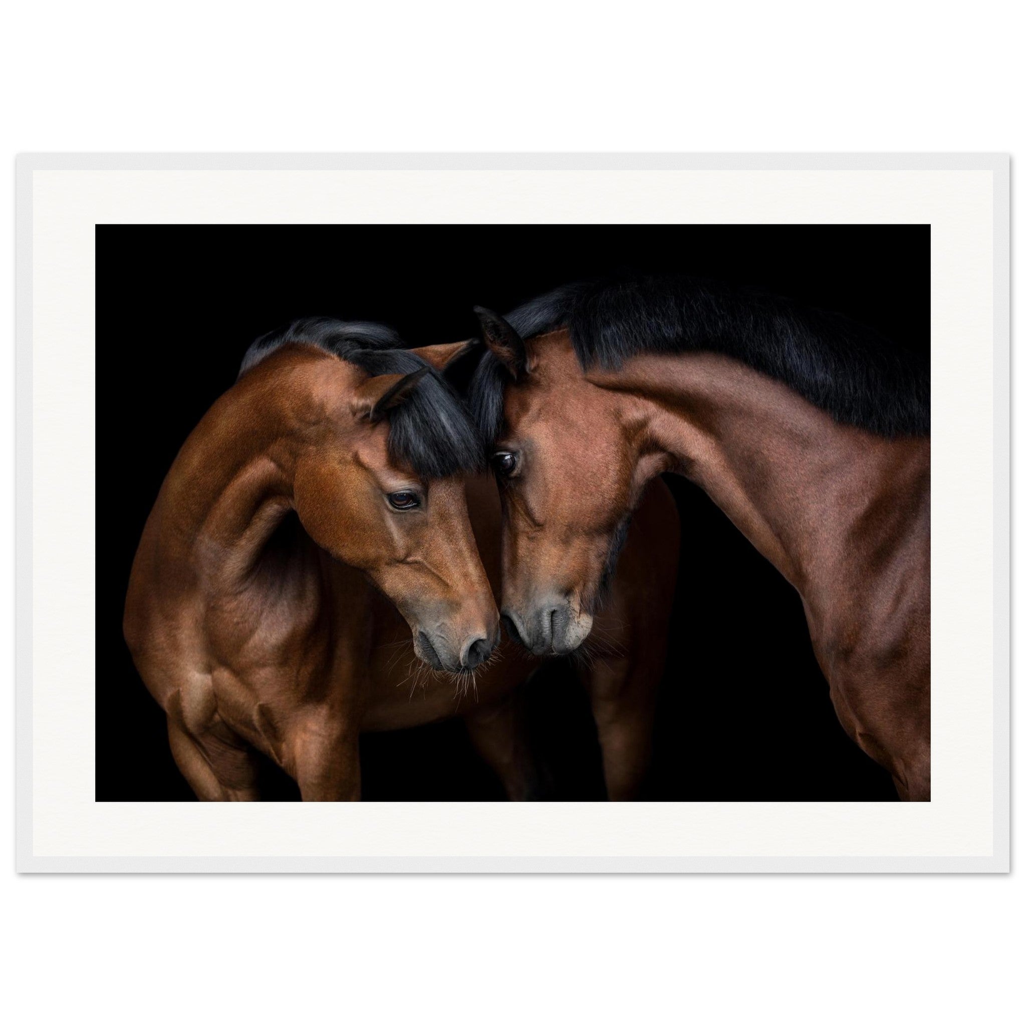 68d9d79e-eeef-4193-9d10-e34920fd0a6e