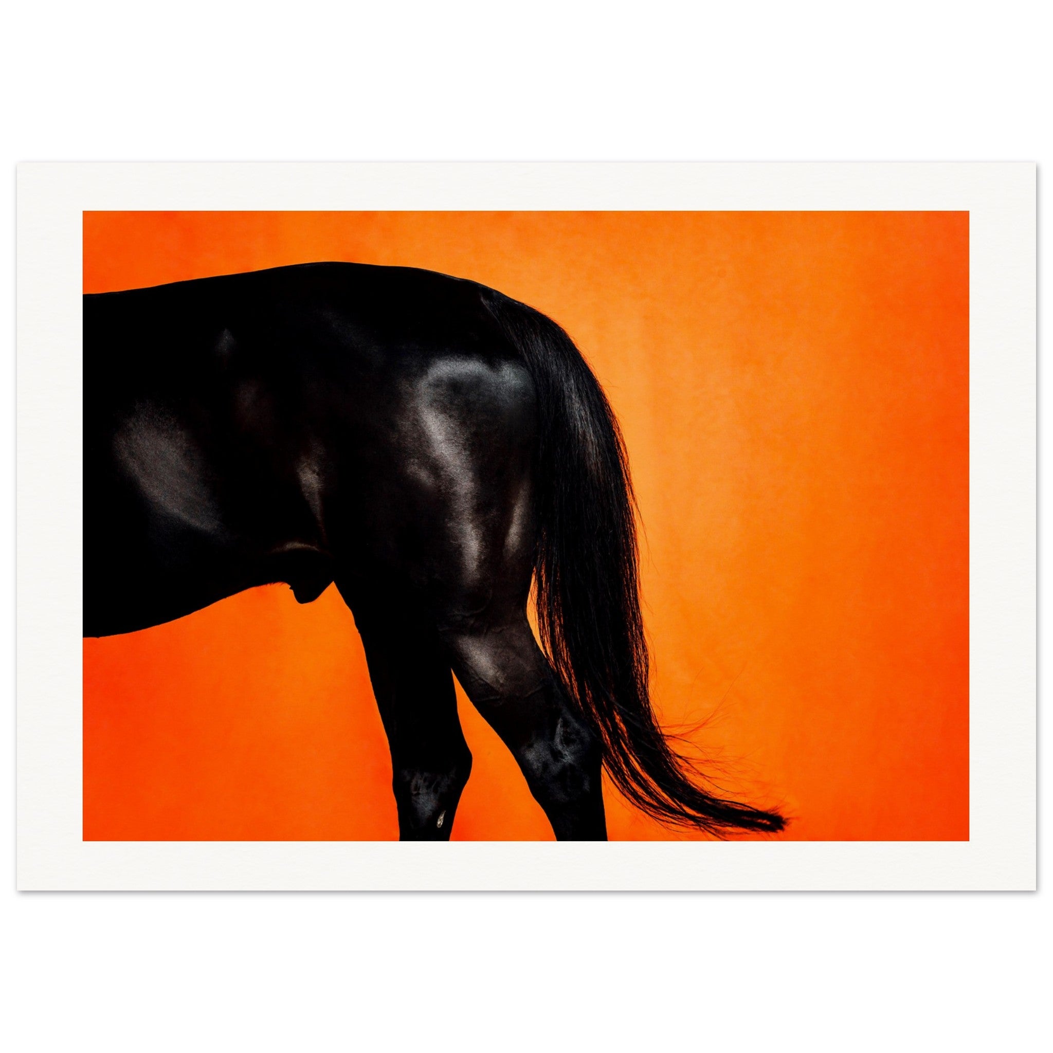 69810a1b-23d3-45ed-9f2c-b16cc51466ab