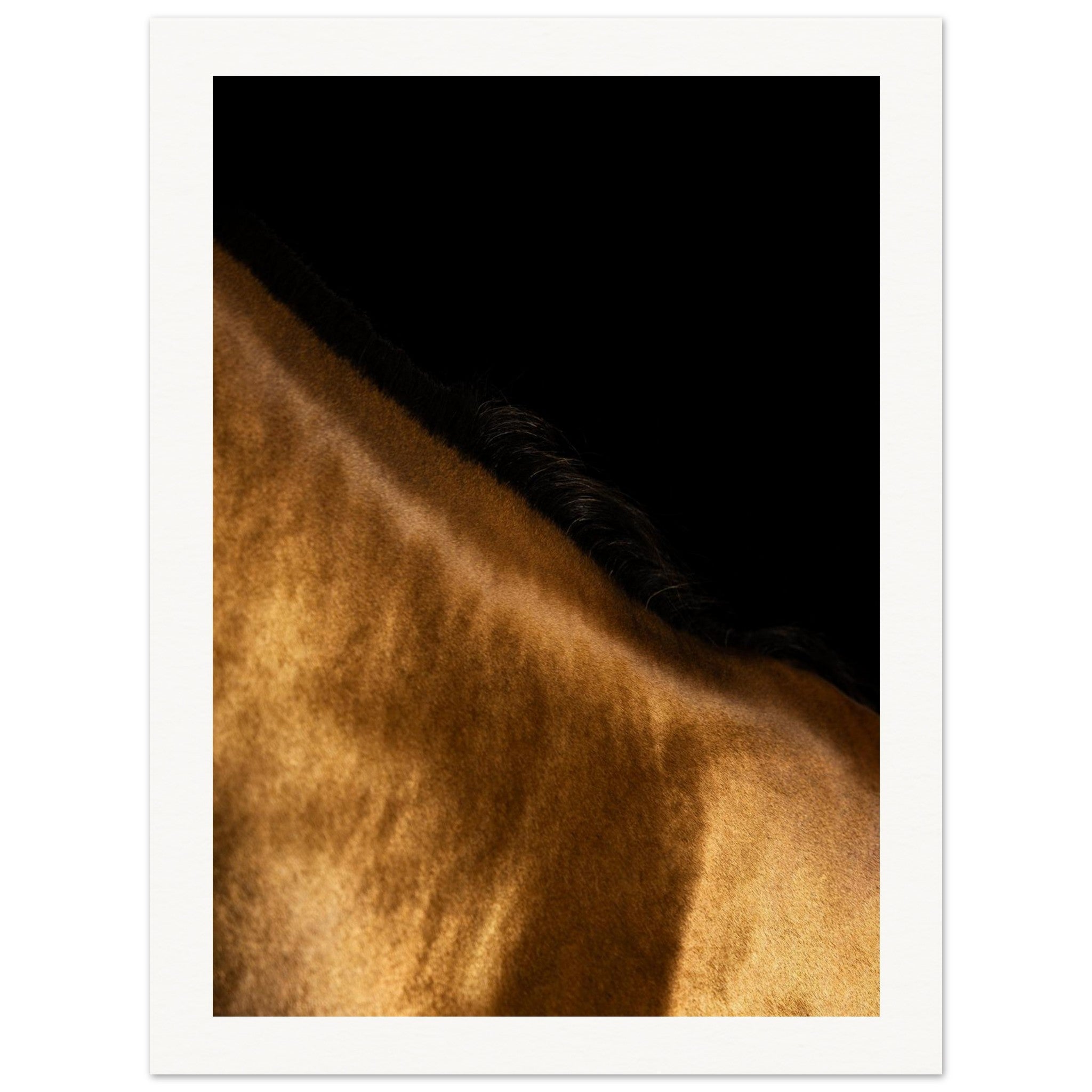 6a0a9887-3445-48f3-9b05-61f5557ee1f8