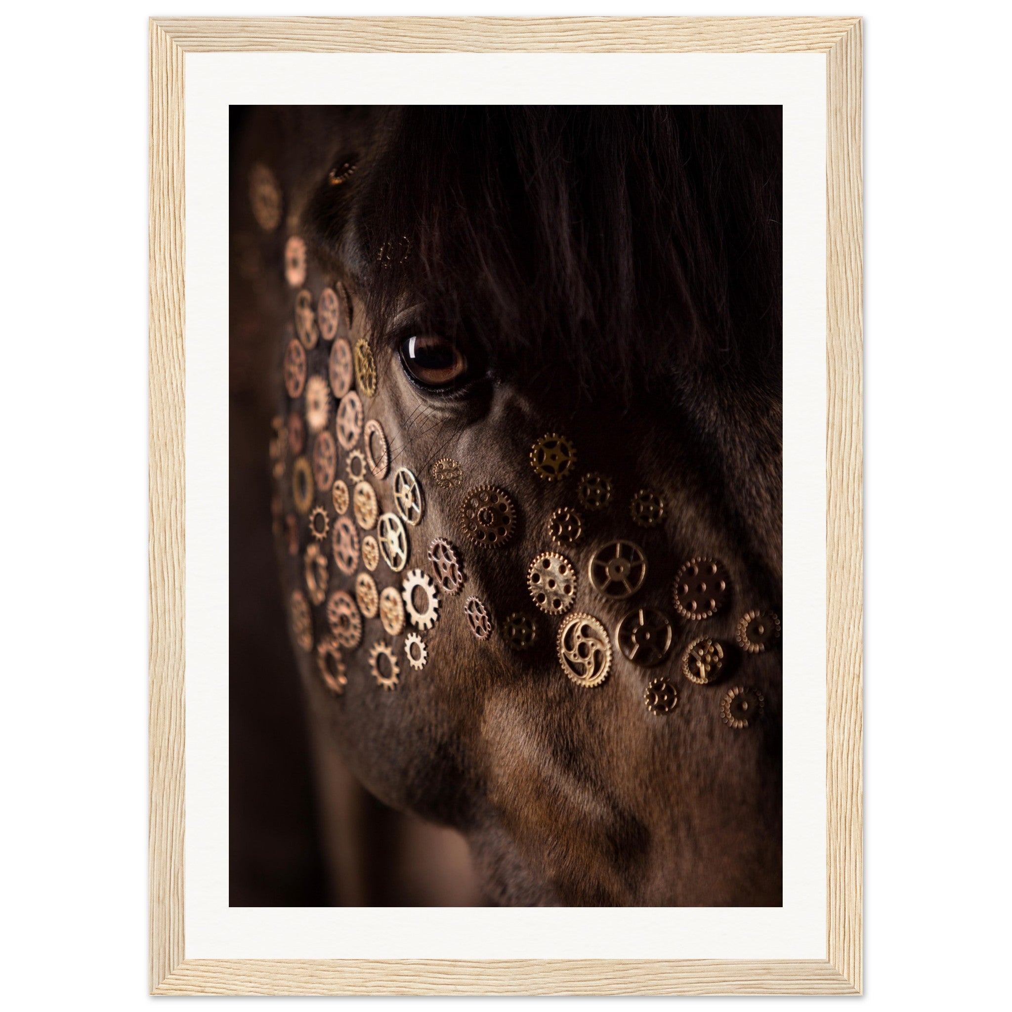 6a13697a-d305-4cb7-aa10-97d957920bdf