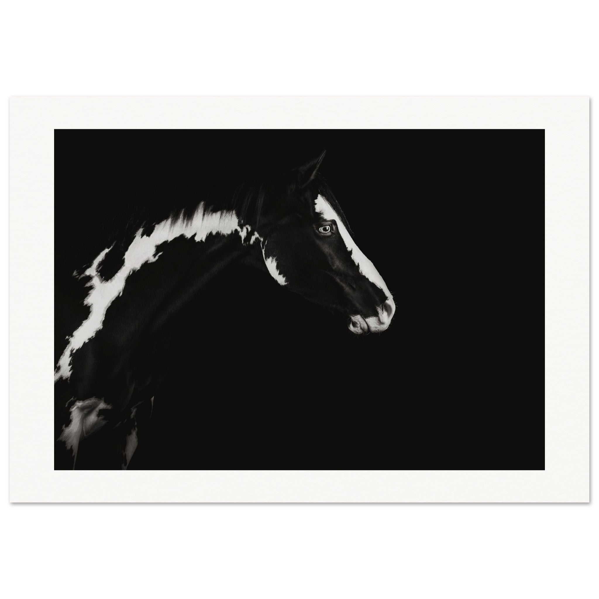 6a1ee8d1-5f75-41db-9d91-b44676afb106