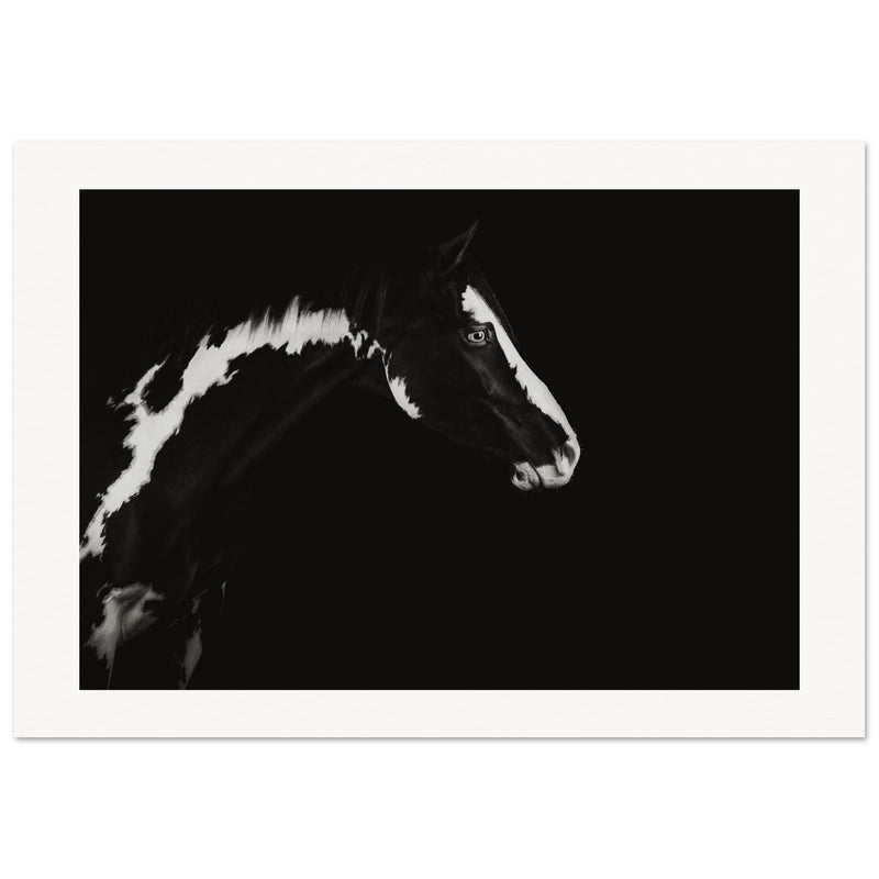 6a1ee8d1-5f75-41db-9d91-b44676afb106