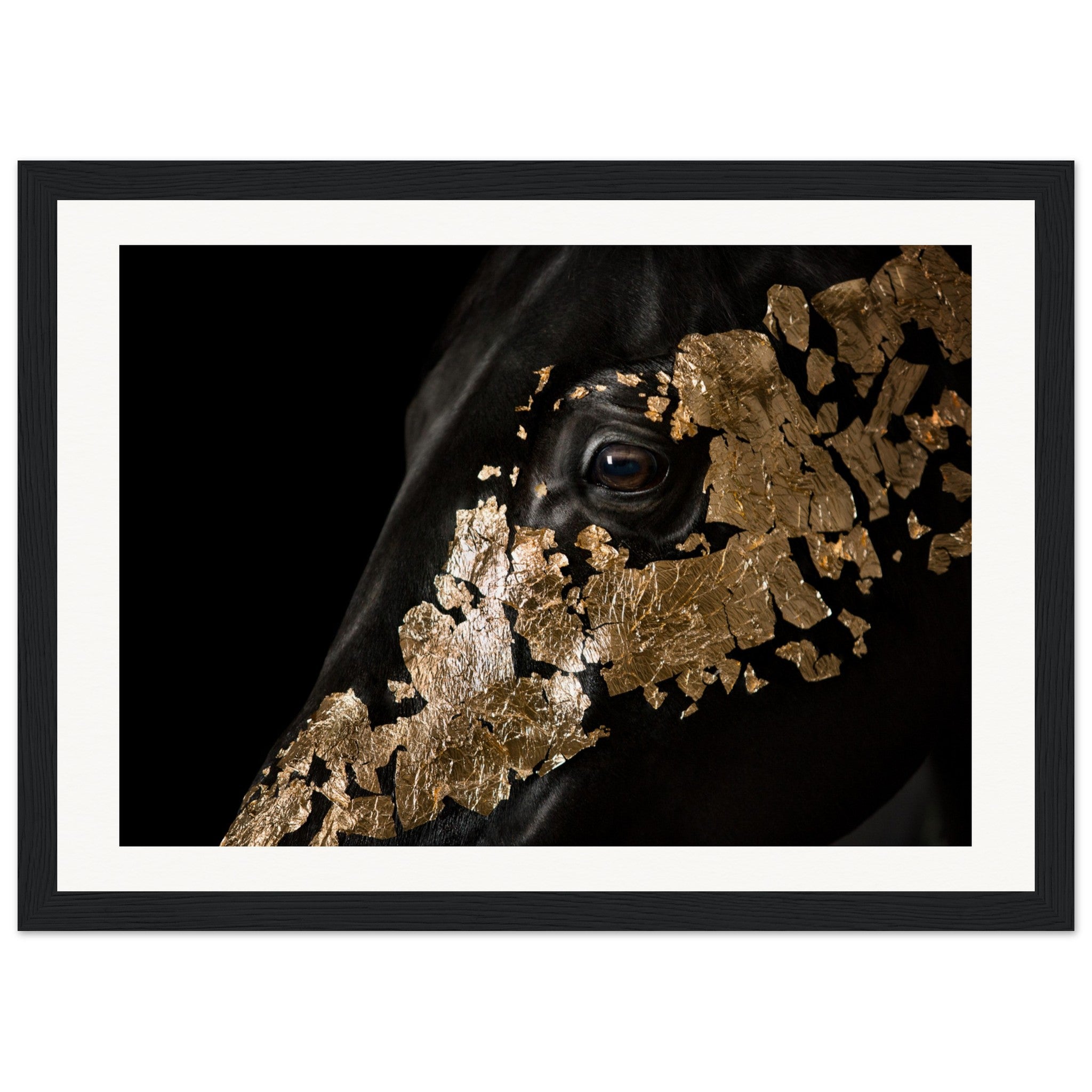 6a31bf3e-3448-4458-8d3f-4b0c762ac6fe