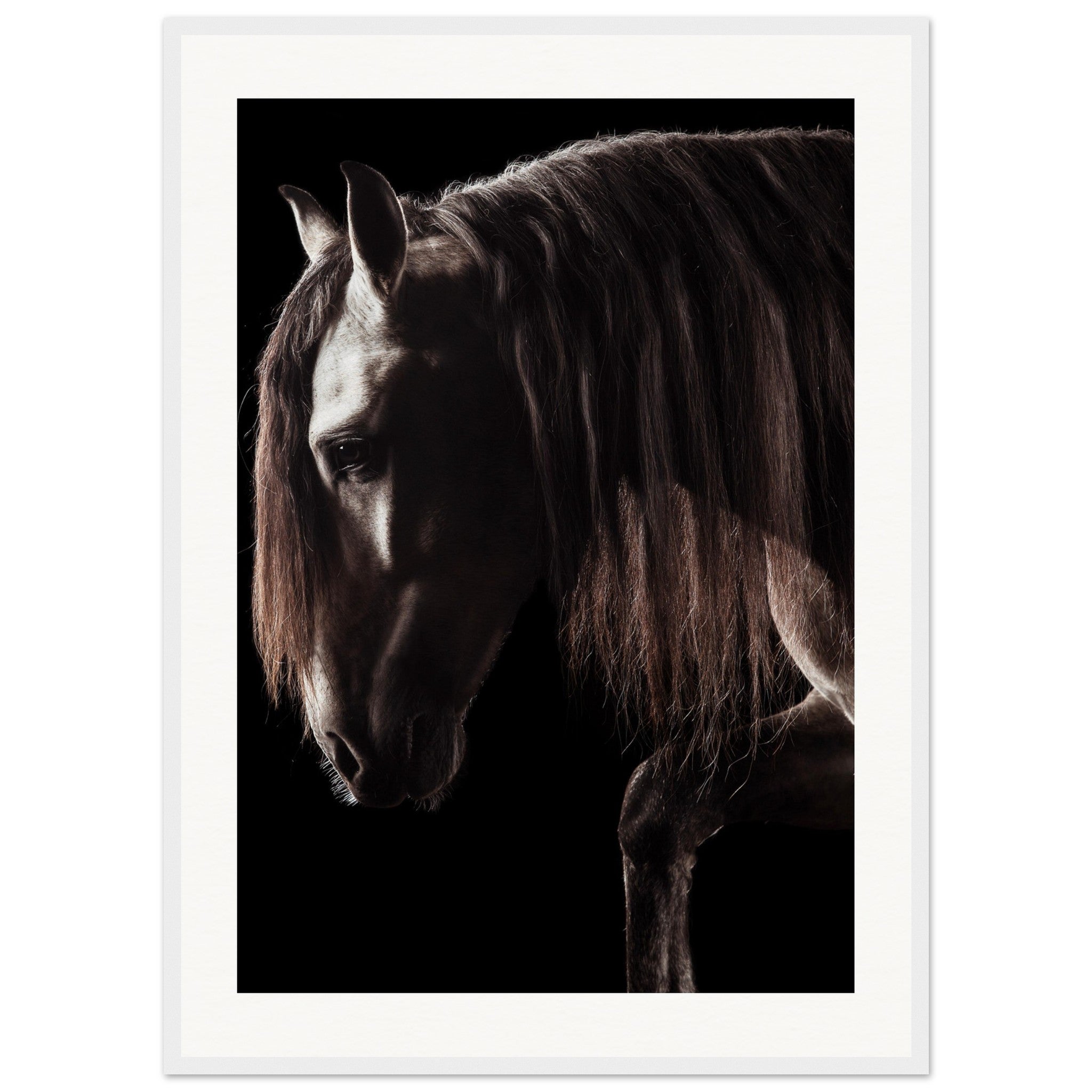 6a43e2e8-3325-4307-a14b-964c98c605bf