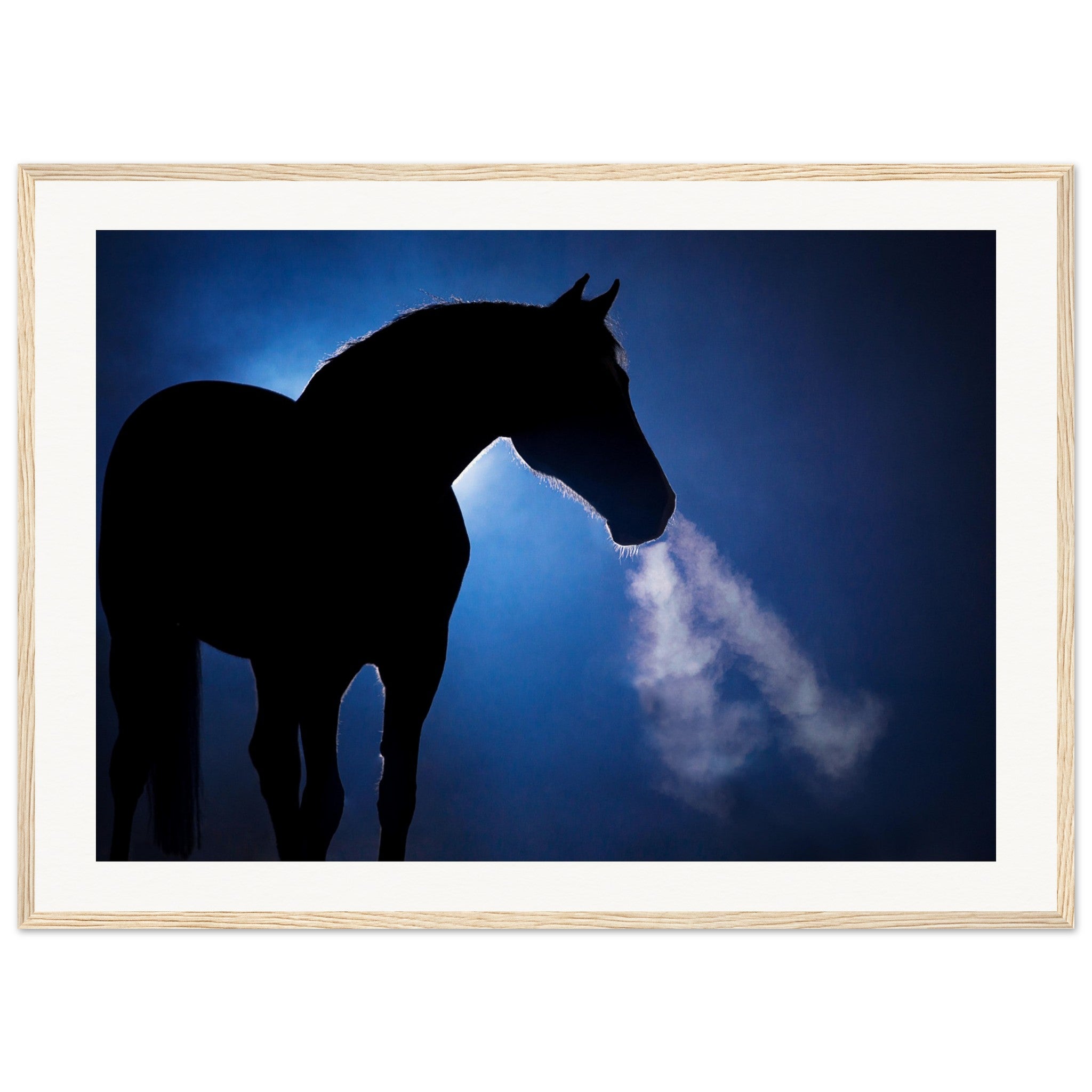 6aa2ccf3-859a-427f-b84b-96edeeb53e0a