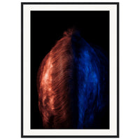 6ae80f58-45d0-4f29-882a-64e9004cbaed