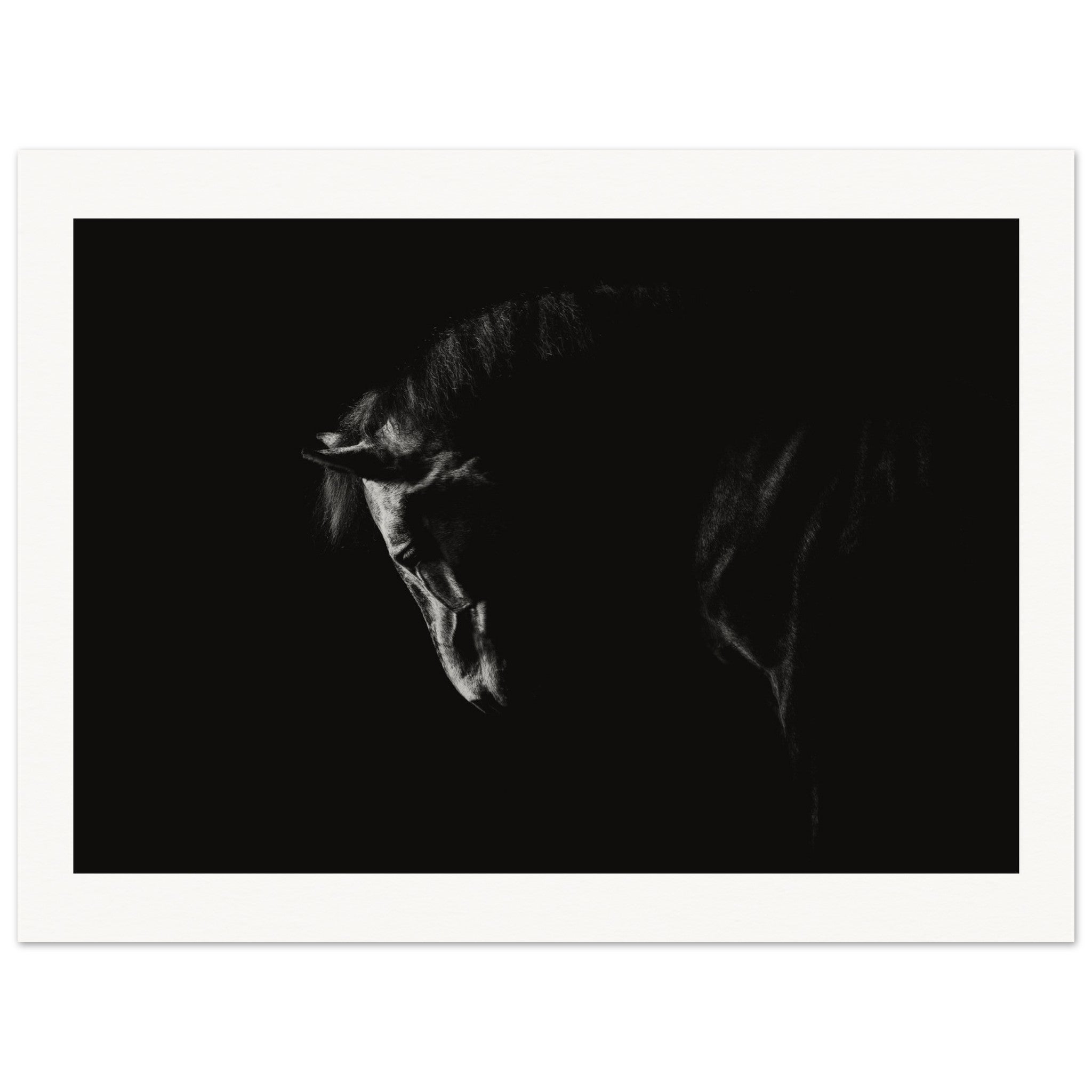 6af853ec-041d-4839-9e17-4f8e607bd6c7