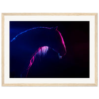 6b108713-84c9-44c9-bcfc-4cc5bf8dd99e