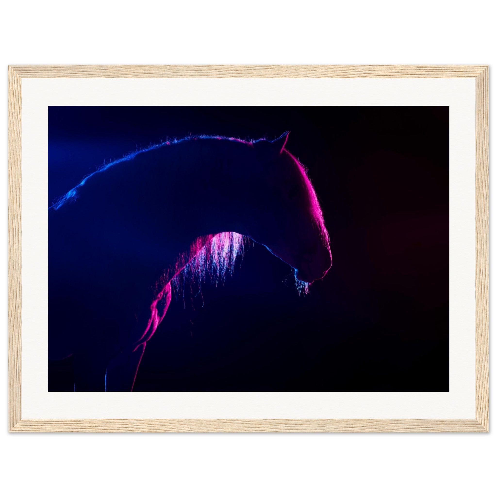 6b108713-84c9-44c9-bcfc-4cc5bf8dd99e