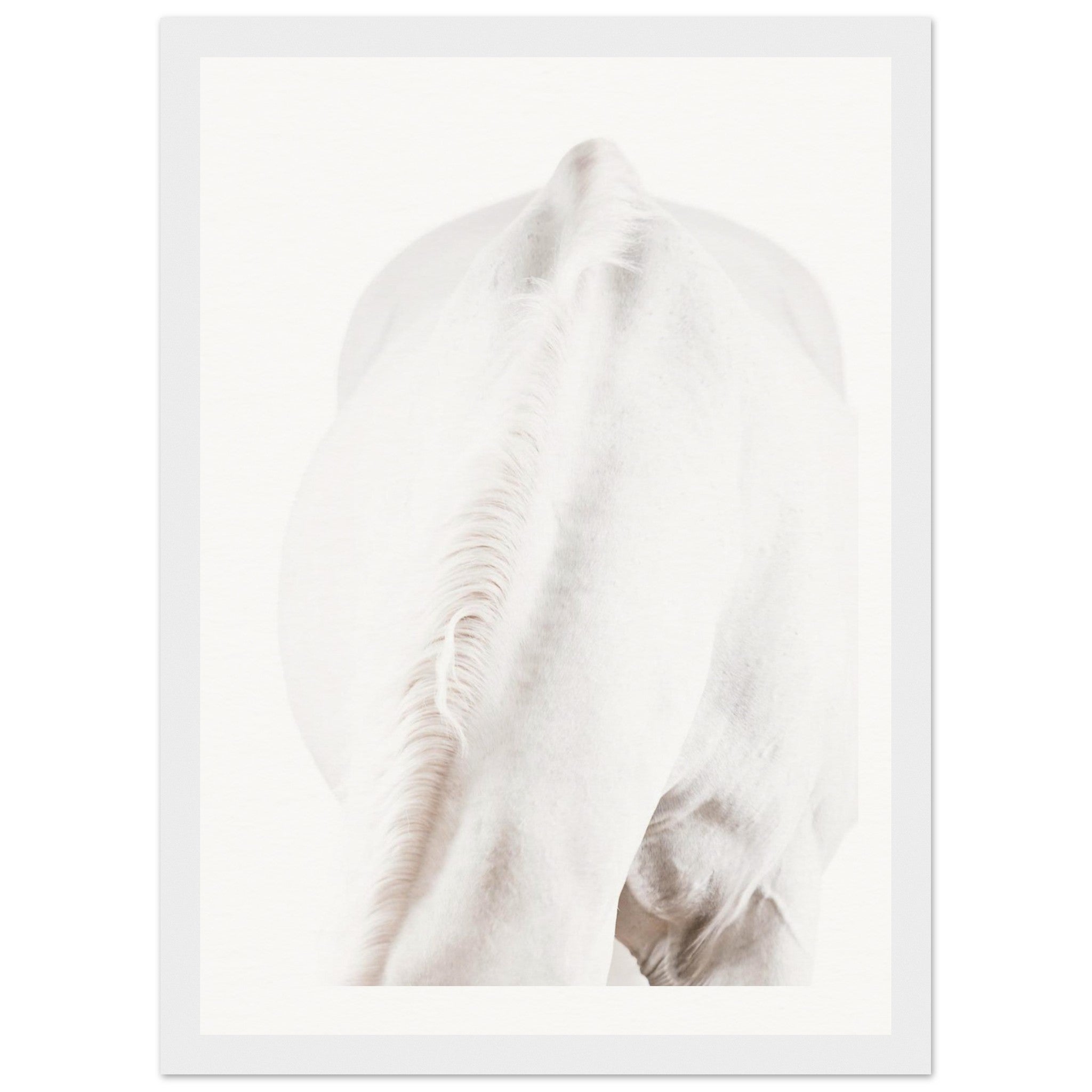 6b92bc9d-2248-4784-b4af-02b992614011