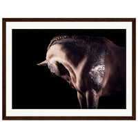 6bcdf952-ba1b-4999-824b-42af0d68b822