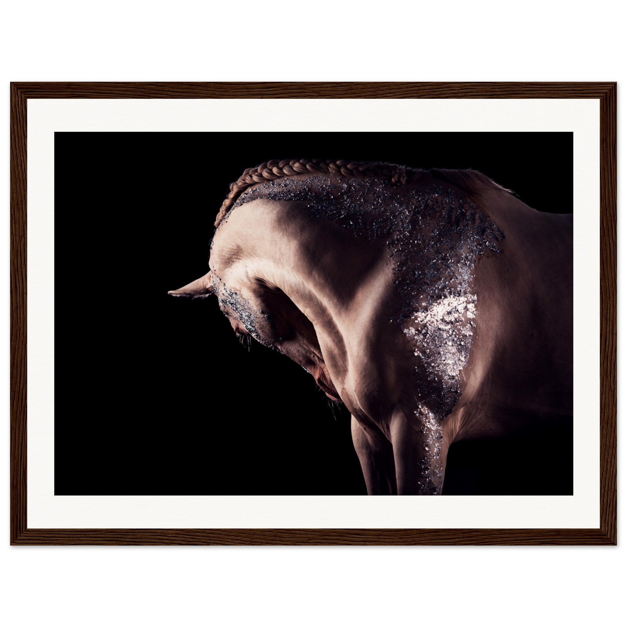 6bcdf952-ba1b-4999-824b-42af0d68b822