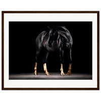 6bd0fdae-29be-4b9c-9cd8-a5276a4d3022