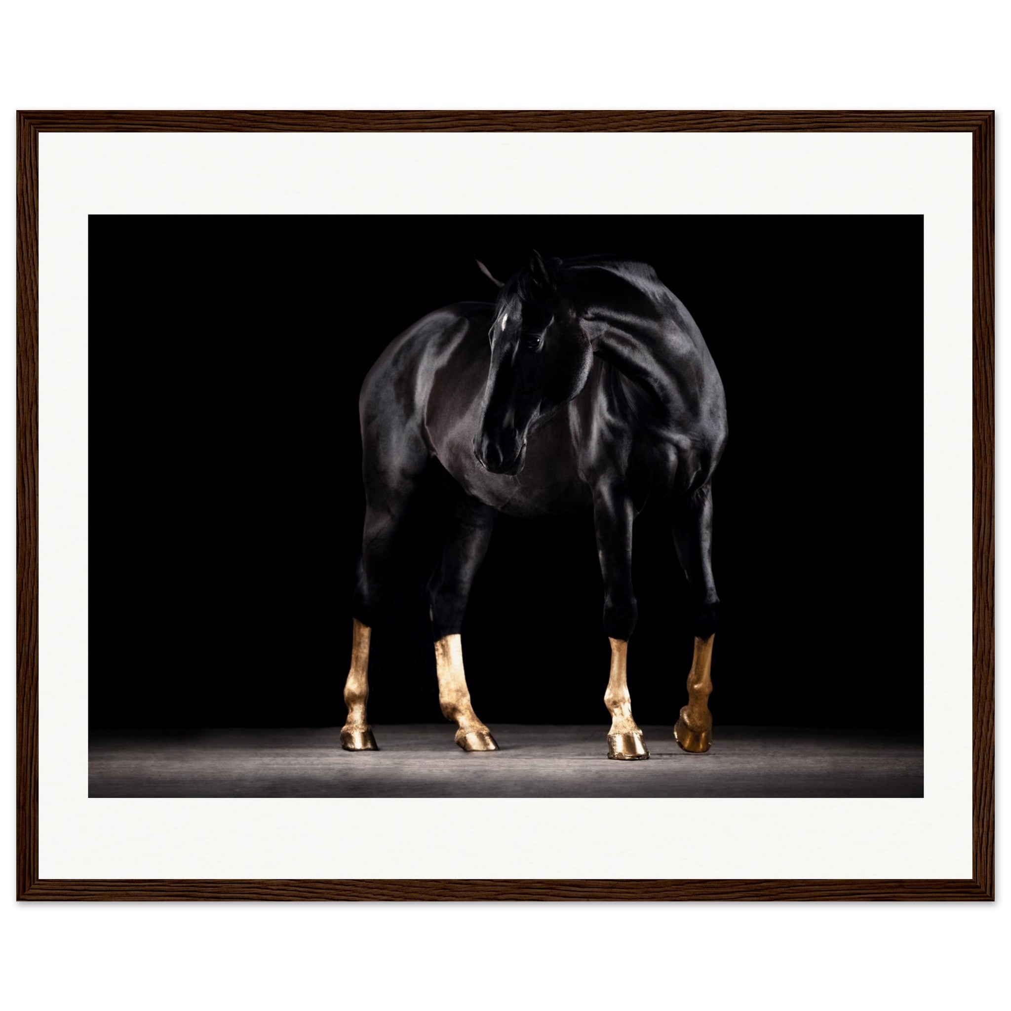 6bd0fdae-29be-4b9c-9cd8-a5276a4d3022