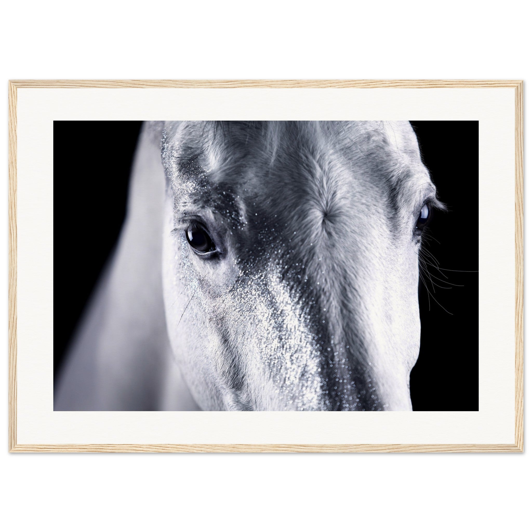 6c1de9e6-5c67-435f-8ea9-658038613b88